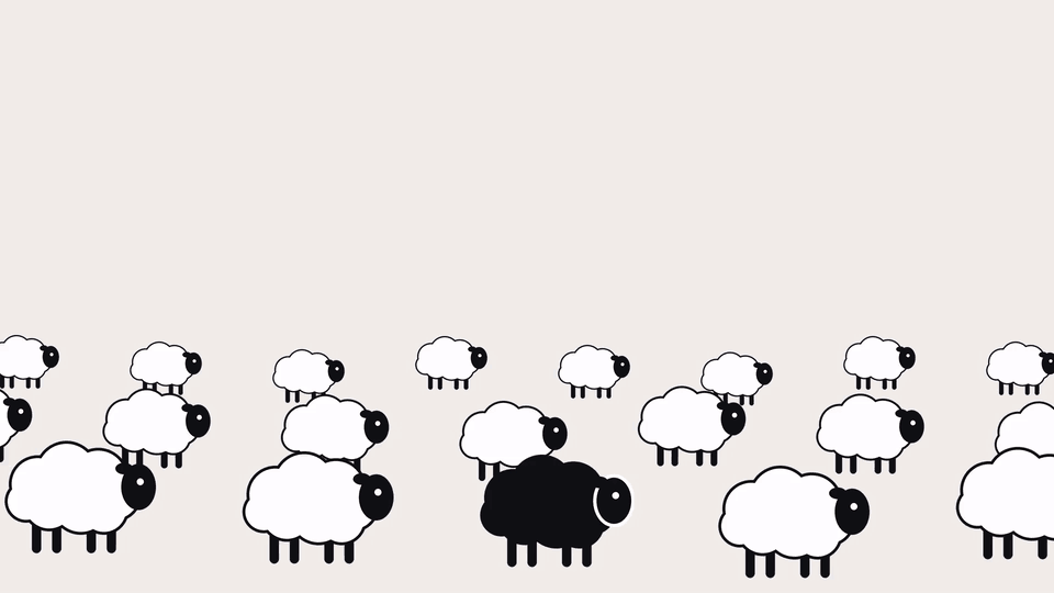 Placeholder for the Black Sheep showreel